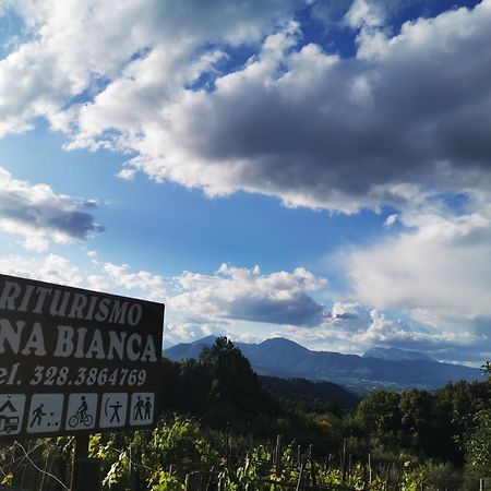 Agriturismo Donna Bianca Морманно Экстерьер фото