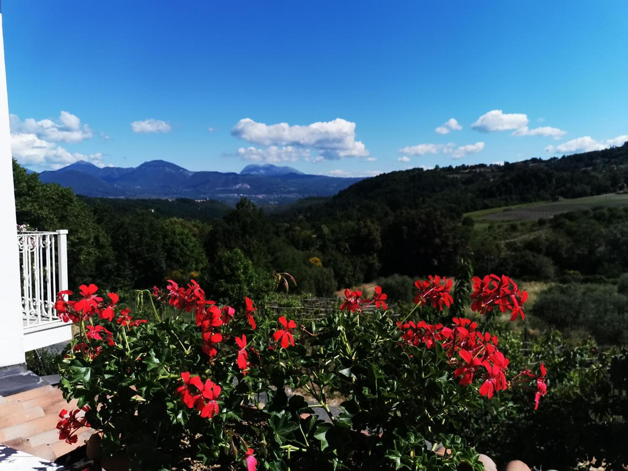 Agriturismo Donna Bianca Морманно Экстерьер фото