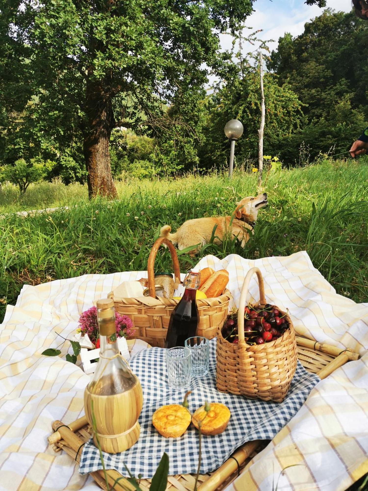 Agriturismo Donna Bianca Морманно Экстерьер фото