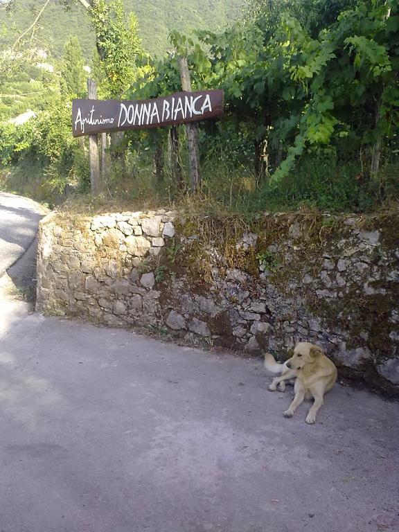 Agriturismo Donna Bianca Морманно Экстерьер фото